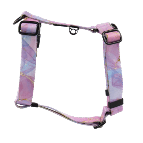 2 Szelki guard Fiore Mist