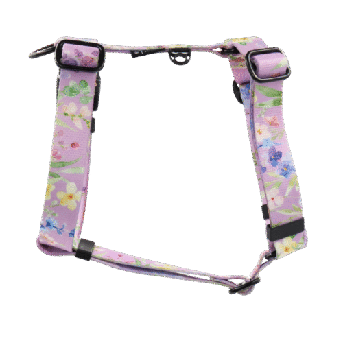 3 Szelki guard Fiore Bloom