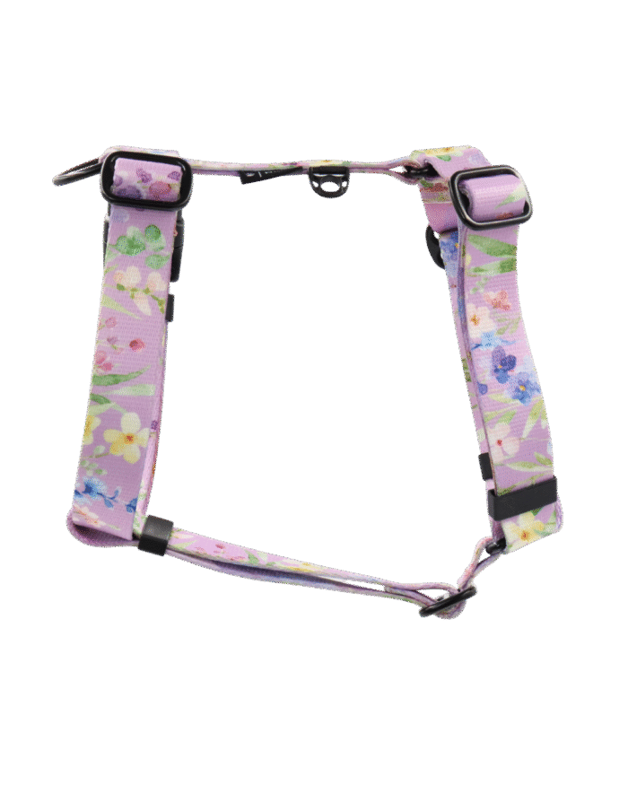 3 Szelki guard Fiore Bloom