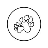 Huka szybka realizacja